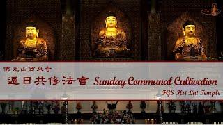 2025.03.09【週日共修會：金剛經 Sunday Communal Cultivation：Diamond Sutra】佛光山西來寺 FGS Hsi Lai Temple