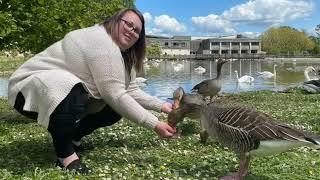 What is the Wildfowl and the Wetlands Trust (WWT)