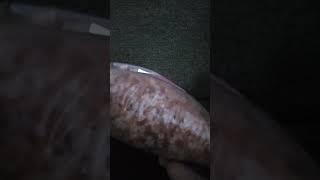 PINK HIMALAYAN SALT/ ASMR / JASMINE NAV #asmr #pinkhimalayansalt #healthyfood  #satisfying