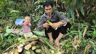 FULL VIDEO: Poor Father Has To Pick Young Bamboo Shoots To Sell To Earn Money To Raise His Children