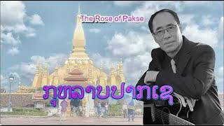 ກຸຫລາບປາກເຊ - กุหลาบปากเซ | The Rose of Pakse (VO)