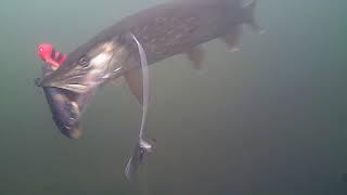 Underwater Pike; WaterWolf HD. Compilation 2 .