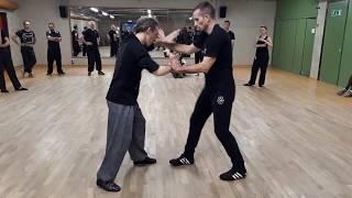 WING CHUN DEMO | Sifu Didier Beddar Free Flow with David Bertrand