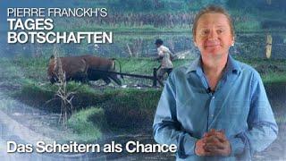 Das Scheitern als Chance