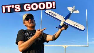 WORLD'S BEST CHEAP Ready to Fly RC Airplane! - HobbyZone Sport Cub S 2 - TheRcSaylors