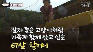 [다큐 ‘가족’ 245회①] 팔자 좋은 고양이처럼 가족과 함께 살고 싶은 67살 할머니