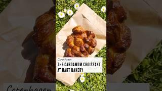 The Cardamom Croissant at Hart Bakery in Copenhagen #shorts