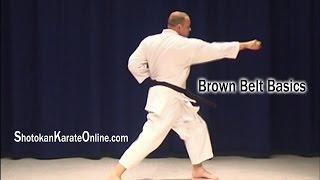 Shotokan Karate Syllabus Brown Belt Basics