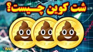 شت کوین چیست؟