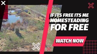 If its free it me!!!!!!!!!!!!! Free Homesteading ideas