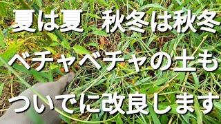 2024/9/23　畝の上の草も抜かない？また一歩成長できた日