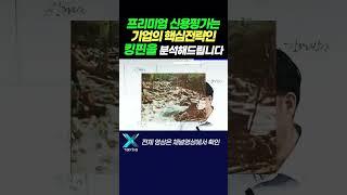 기업을 살리는! 프리미엄 신용평가 킹핀을 분석해드립니다 #택스트라연구소
