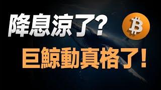 华尔街蒙了！美联储下次降息无了？比特币牛市还会来吗？币圈反弹在即，这几个币大有可为！链上数据异常，Sui要挑战Solana？行情跌不下去！散户恐慌抛售，巨鲸全部吃下？谈谈People的入场和离场操作。