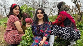 Girls Prepare Delicious Village Food! Radish Harvest in our Village