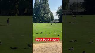 Duck players are playing git boys #duck #animals #nature #gameplay #competition #canada