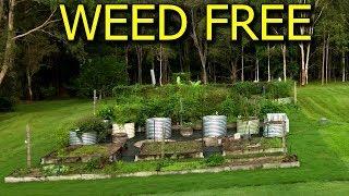 How to Make Weed Free Pathways Around Vegetable Garden