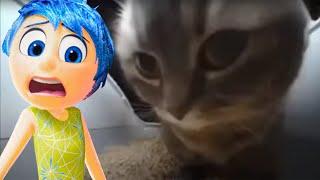 Inside Out 2 - Chipi Chipi Chapa Chapa (COVER #39)