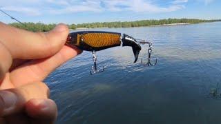 WHOPPER PLOPPER, pokazivanje rada varalice (video bez ulova)