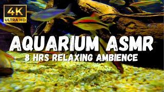 4K Underwater asmr Sounds for complete Relaxation: White Noise for Sleeping