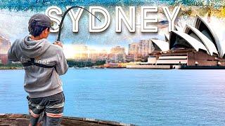 9 Days Fishing Australia's Most Urban City - Sydney Harbor