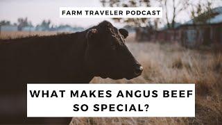 The History of Certified Angus Beef