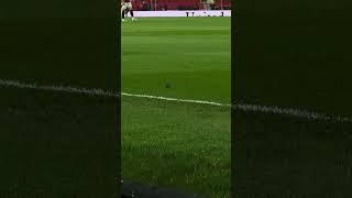 Mouse on pitch at old Trafford during Man United vs Ipswich #manchesterunited #manunited #mufc