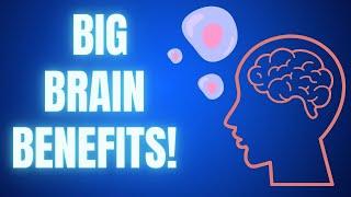 Brain Benefits from Stem Cells!