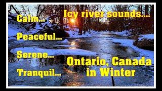 Calm, relaxing tranquil icy river sounds in the woods at sunset | Ontario Canada - February 2021 