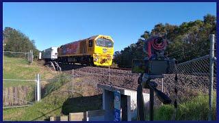 Brand-New DL 9763 and other Tauranga Rail Activity ~ 10/06/2023 (HD)