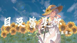目及皆是你 - 小藍背心『我戒不掉你 像戒不了呼吸,漫長的距離 我用思念來代替』【動態歌詞】