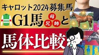 【一口馬主】キャロットクラブ2024募集馬！G1馬の母兄姉と馬体を比較！気になっていた4頭の馬体は…？