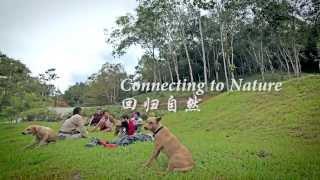 The Kechara Forest Retreat: A Look Back