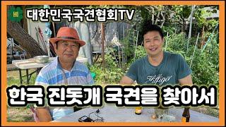 한국 진돗개 국견을 찾아서 | 대한민국국견협회TV