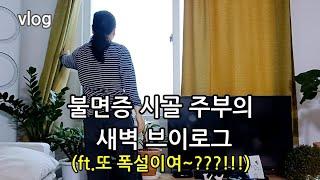 불면증 걸린 40대 시골 주부의 새벽 브이로그 (ft.폭설)/새벽에 만든 취나물,콩나물 무침,멸치볶음