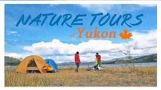 Yukon River Canoe Trip | Making Camp | Nature Tours of Yukon