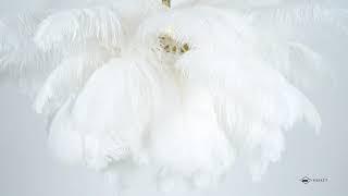 Ostrich Feather Chandeliers White