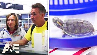 Pet Turtles Stopped When Boarding Flight | Airline | A&E