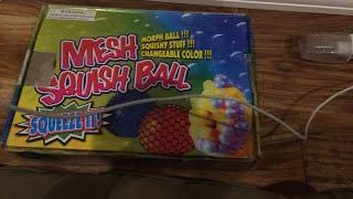 Mesh squish ball