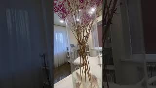 Судия косметологии ZIMUSH в Костроме