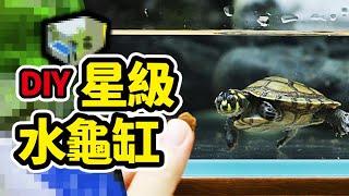 烏龜背上長角？還有香香的味道？ 5種超特別烏龜！（CC字幕）