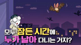 어린이과학 | 토끼박쥐 | 모두 잠든 시간에 누가 날아 다니는 거지? | 과학호기심 | 탐구 | 생물 | 질문에 빠진 안다씨의 과학이야기