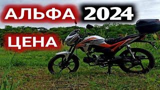 Мопед Альфа 2024 цена на новый мопед