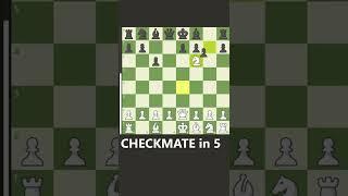 5 move CHECKMATE (Caro Kann Trap)