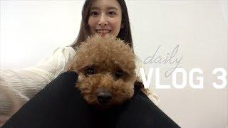 VLOG 3슈슈와 함께하는 일상 l GAYOON 가윤