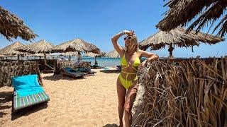 WILD DELIGHT at Aladdin Beach Resort Hurghada Holidays in Egypt / Travel 24