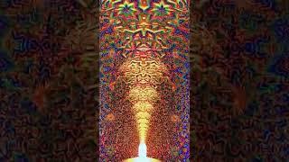 DMT эффект. Канада, выставка