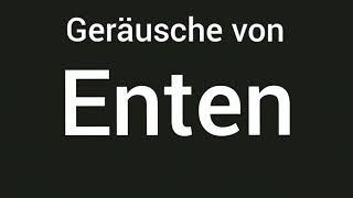 Geräusche von Enten 