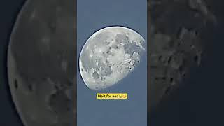 10000x zoom #funny #justfunny #comedy #justmemes #funnyvideo #justforlaught#salmanali227