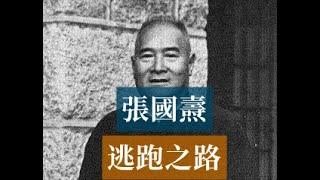 張國燾逃離延安之路 | 毛澤東 王明 #歷史的迴響 #黨史逸聞