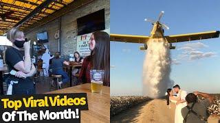 Top 50 Best Viral Videos Of The Month - October 2020